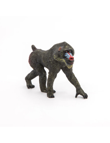 Mandrill – Figurine Papo 50121