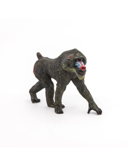 Mandrill – Figurine Papo 50121