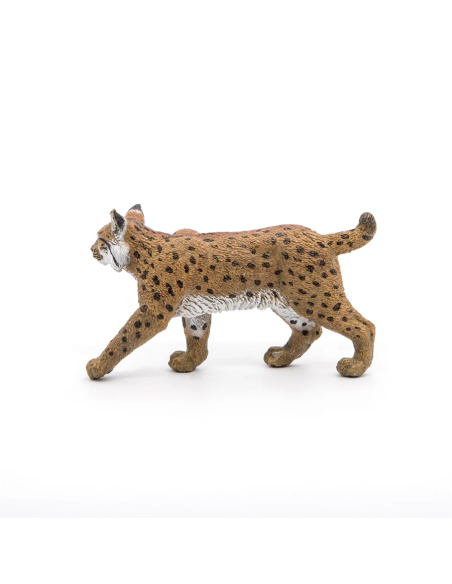 Lynx – Figurine Papo 50241