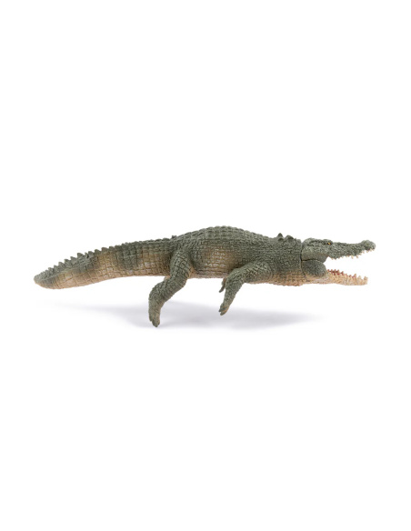 Crocodile marin – Figurine Papo 50324 réaliste et éducative