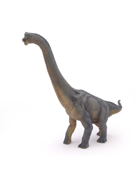 Figurine Brachiosaure Papo 55030 - Dinosaure