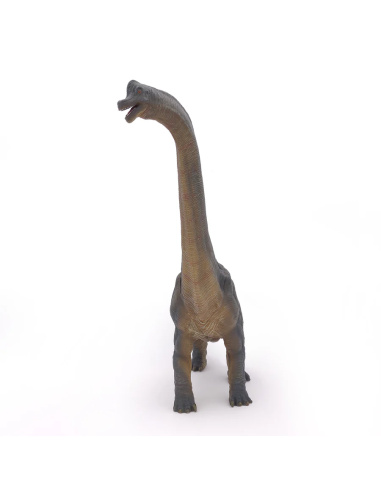 Figurine Brachiosaure Papo 55030 - Dinosaure