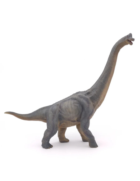 Figurine Brachiosaure Papo 55030 - Dinosaure