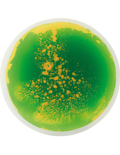 Dalles Sensorielles Rondes Gel | Set 5 Parcours Motricité – LesMinis 2