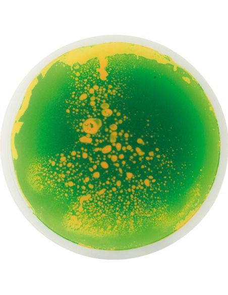 Dalles Sensorielles Rondes Gel | Set 5 Parcours Motricité – LesMinis