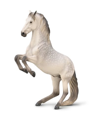 Figurine Étalon Lipizzan Gris Pommelé en Levade | CollectA 1:20