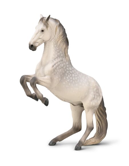 Figurine Étalon Lipizzan Gris Pommelé en Levade | CollectA 1:20