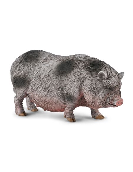 Figurine Cochon Vietnamien | CollectA Farm Time 80067 - LesMinis