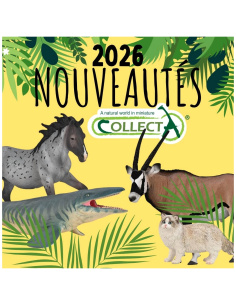 Figurine Chat Ragdoll Colorpoint | CollectA 80059 - LesMinis 2