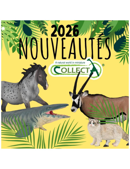 Figurine Chat Ragdoll Colorpoint | CollectA 80059 - LesMinis