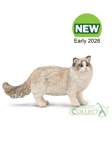 Figurine Chat Ragdoll Colorpoint | CollectA 80059 - LesMinis