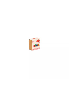 Billes de rechange MagGenius × 4 | Circuit magnétique 2