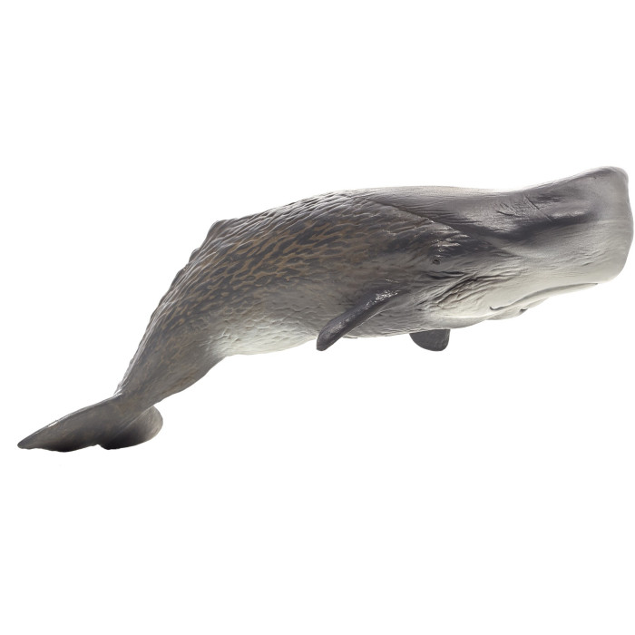 Figurine Cachalot - Mojo 387210 | Matériel pédagogique | Enrichissement Montessori