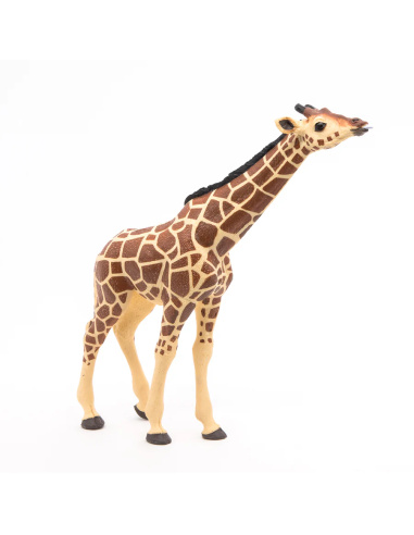 Girafe tête levée Papo — figurine animale réaliste, La Vie Sauvage
