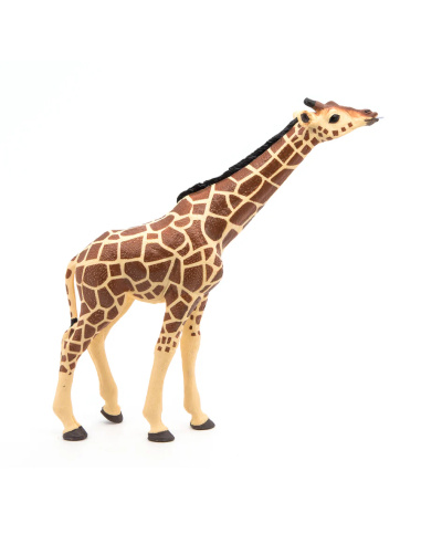 Girafe tête levée Papo — figurine animale réaliste, La Vie Sauvage