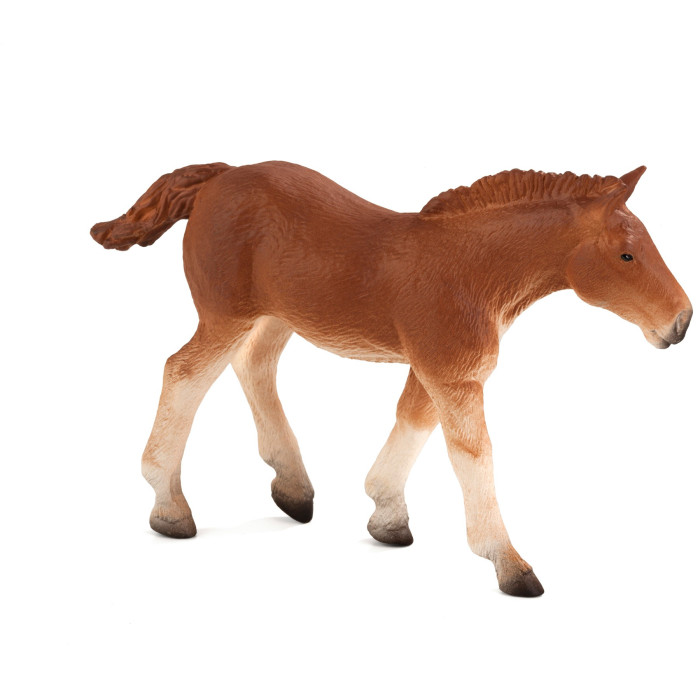 Figurine Poulain Suffolk Punch - Mojo 387196 | Matériel pédagogique | Enrichissement Montessori