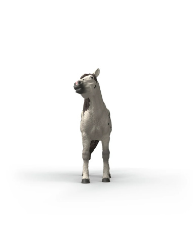 Hongre Knabstruppeur Schleich 14916 | LesMinis