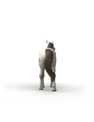 Hongre Knabstruppeur Schleich 14916 | LesMinis