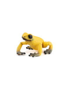 Figurine Amphibien Grenouille équatoriale jaune Papo 50174