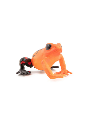 Figurine Grenouille équatoriale rouge Papo 50193 – Animal Sauvage