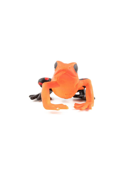 Figurine Grenouille équatoriale rouge Papo 50193 – Animal Sauvage