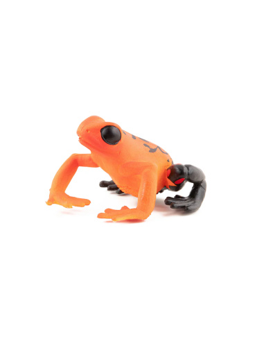 Figurine Grenouille équatoriale rouge Papo 50193 – Animal Sauvage