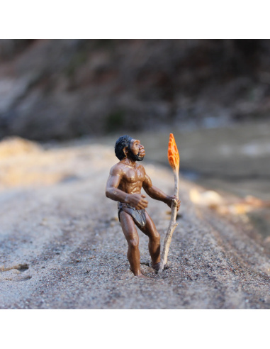 Collectionnez les étapes clés de l'évolution de l'homme avec ce lot de 5 figurines Safari Ltd. 663816 | Histoire Préhistoire