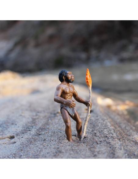 Collectionnez les étapes clés de l'évolution de l'homme avec ce lot de 5 figurines Safari Ltd. 663816 | Histoire Préhistoire