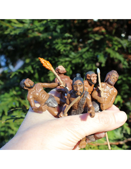 Collectionnez les étapes clés de l'évolution de l'homme avec ce lot de 5 figurines Safari Ltd. 663816 | Histoire Préhistoire