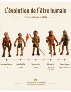 Collectionnez les étapes clés de l'évolution de l'homme avec ce lot de 5 figurines Safari Ltd. 663816 | Histoire Préhistoire 2
