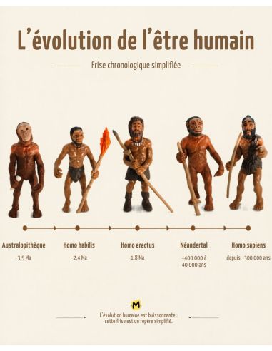 Collectionnez les étapes clés de l'évolution de l'homme avec ce lot de 5 figurines Safari Ltd. 663816 | Histoire Préhistoire