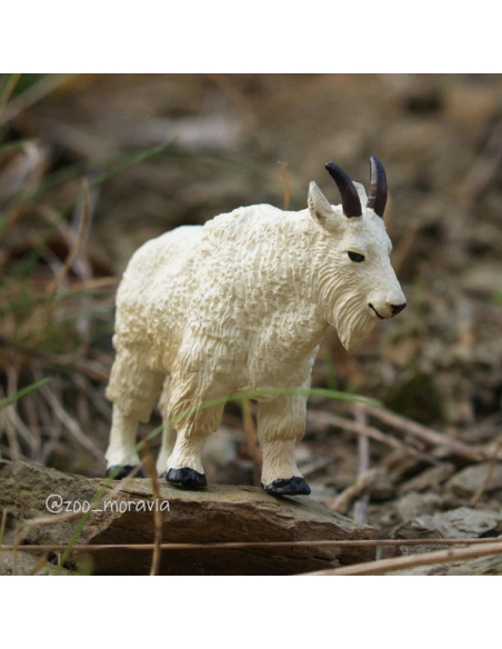 Chèvre des montagnes Toymany – Petite figurine