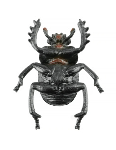 Figurine Insecte Bousier, scarabée - ToyMany ML00421 2