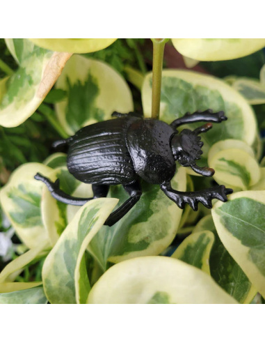 Figurine Insecte Bousier, scarabée - ToyMany ML00421