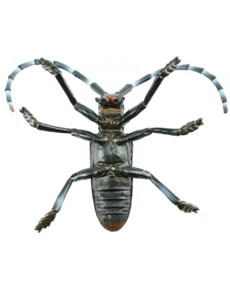 Figurine Insecte Capricorne des Agrumes - ToyMany ML00422