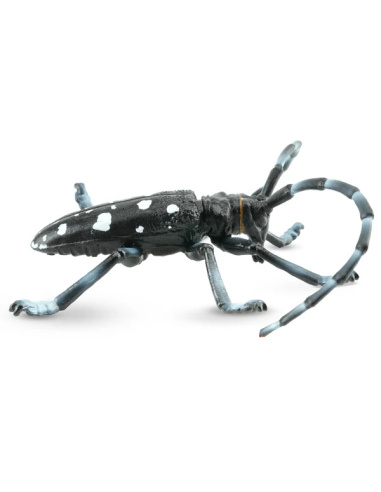 Figurine Insecte Capricorne des Agrumes - ToyMany ML00422