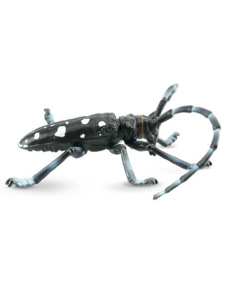 Figurine Insecte Capricorne des Agrumes - ToyMany ML00422