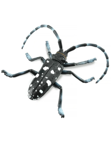 Figurine Insecte Capricorne des Agrumes - ToyMany ML00422