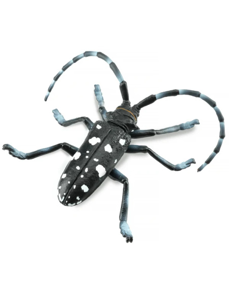 Figurine Insecte Capricorne des Agrumes - ToyMany ML00422