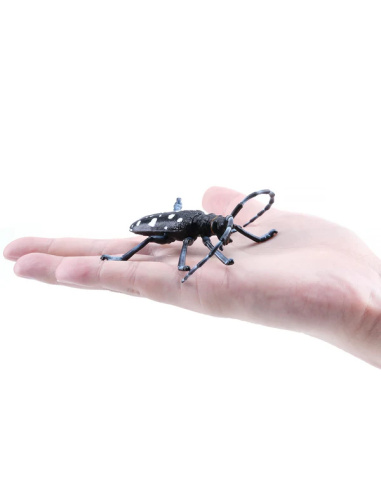 Figurine Insecte Capricorne des Agrumes - ToyMany ML00422