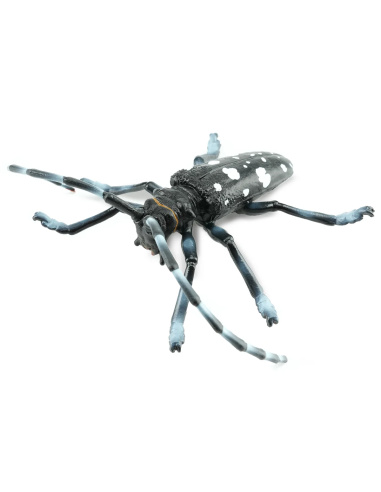 Figurine Insecte Capricorne des Agrumes - ToyMany ML00422