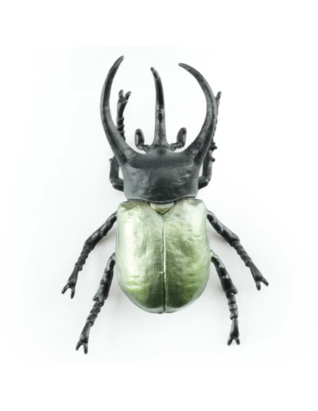 Figurine Insecte Scarabée Atlas géant - ToyMany ML00423