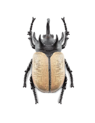 Figurine Insecte Scarabée Rhinocéros - ToyMany ML00424