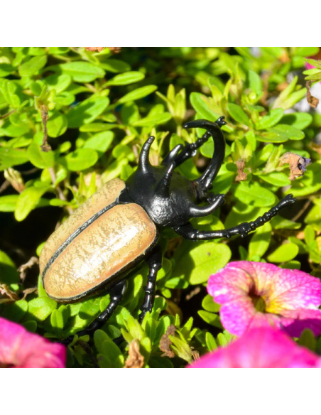 Figurine Insecte Scarabée Rhinocéros - ToyMany ML00424