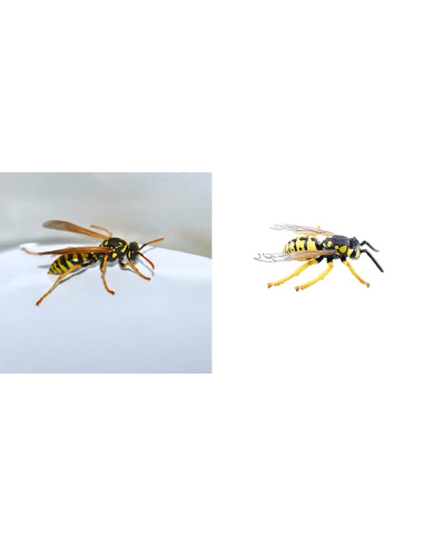 Figurine Insecte Guêpe ailée réaliste - ToyMany ML00425