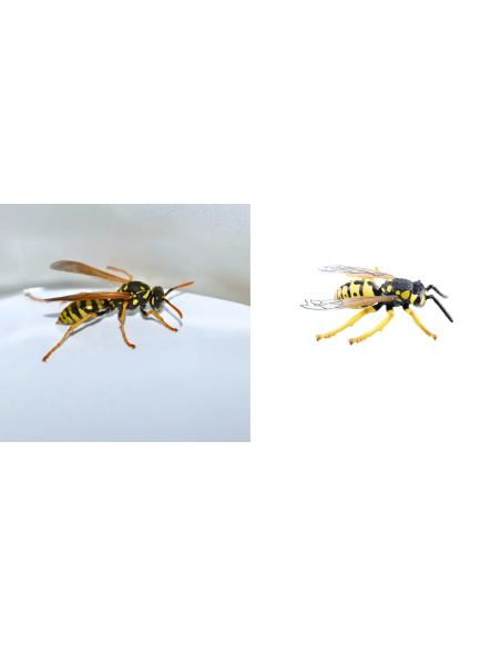 Figurine Insecte Guêpe ailée réaliste - ToyMany ML00425