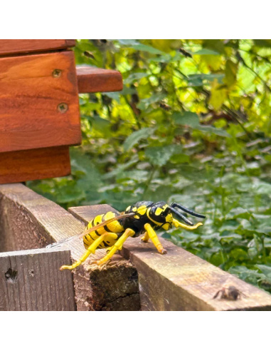 Figurine Insecte Guêpe ailée réaliste - ToyMany ML00425