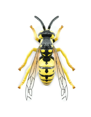 Figurine Insecte Guêpe ailée réaliste - ToyMany ML00425