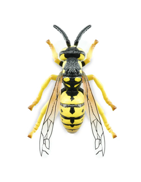 Figurine Insecte Guêpe ailée réaliste - ToyMany ML00425