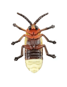 Figurine Insecte Luciole lumineuse - ToyMany ML00426 2